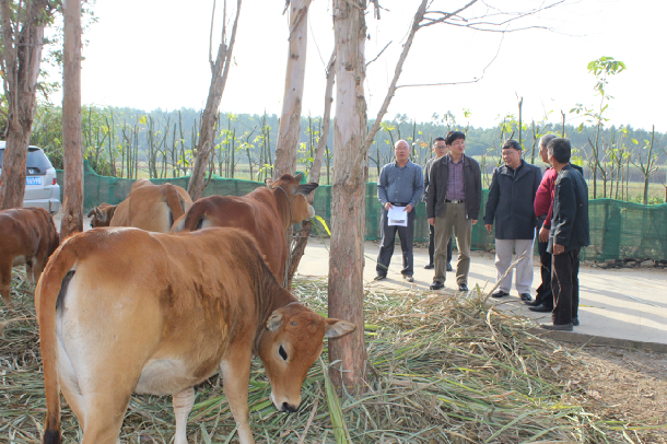 BETVLCTOR伟德在线